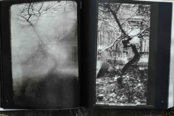 Sudek’s Trees IV by Steve Baker