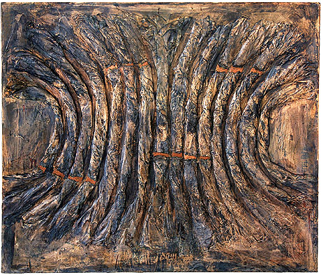 Carapace by Elizabeth Humphries
