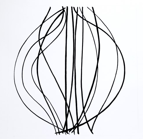 Lines by Rory McShane