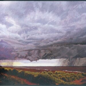 Storm by Christine Allman
