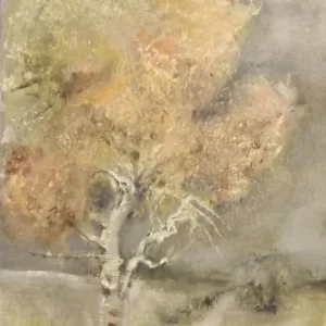 The Road Home by Colin Devine